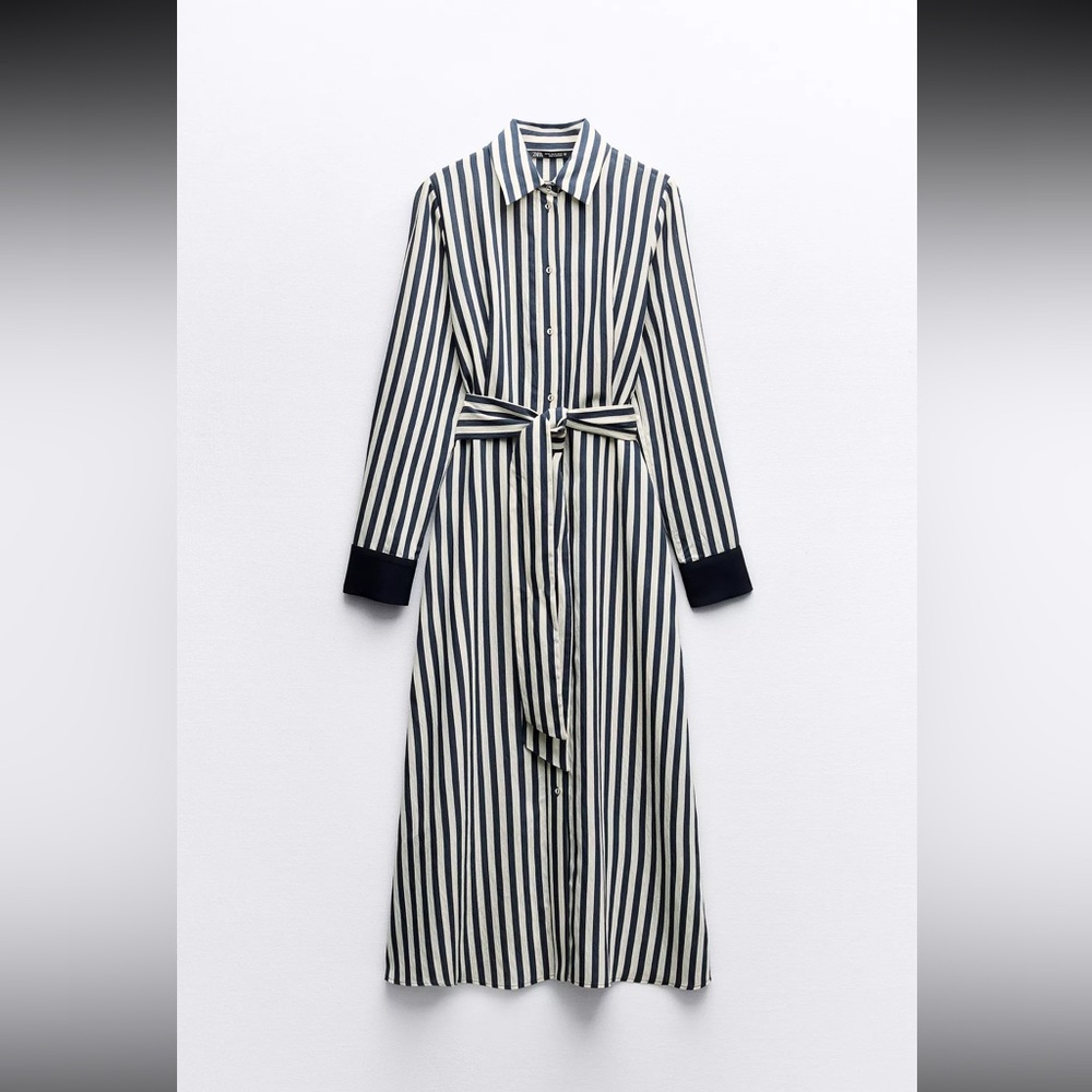 Zara White and Blue Maxi Dress